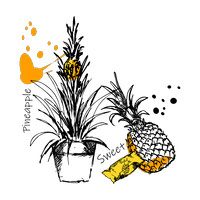 Luscious pineapple illustrations