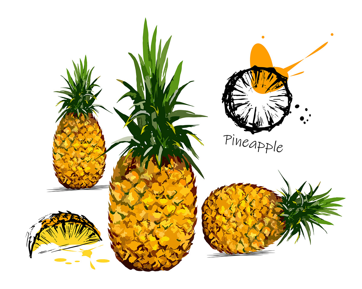 Luscious pineapple illustrations rendition image