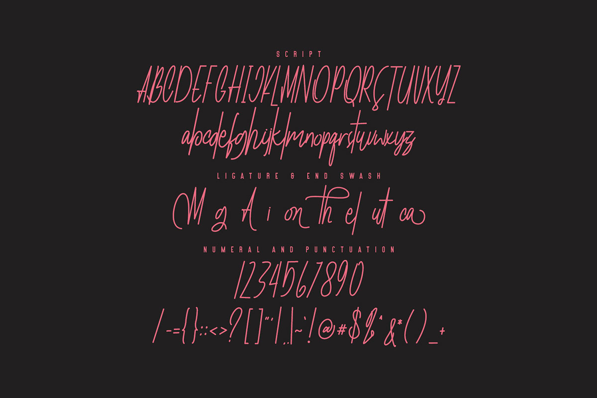 Autica Monthgel Monoline Script Sans Font Duo rendition image