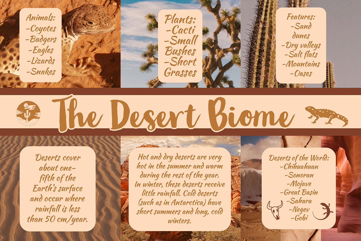 The Desert Biome The Desert Biome<P>---------------------------<P>---------------------------<P>Plants:<BR>-Cacti<BR>-Small Bushes
-Short Grasses

<P>Animals:<BR>-Coyotes<BR>-Badgers
-Eagles
-Lizards
-Snakes


<P>Deserts cover about one- fifth of the Earth’s surface and occur where rainfall is less than 50 cm/year. <P>Features:<BR>-Sand dunes<BR>-Dry valleys
-Salt flats
-Mountains
-Oases

<P>Deserts of the World:<BR>-Chihuahuan<BR>-Sonoran
-Mojave
-Great Basin
-Sahara
-Negev
-Gobi
<P>Hot and dry deserts are very hot in the summer and warm during the rest of the year. In winter, these deserts receive little rainfall.  Cold deserts (such as in Antarctica) have short summers and long, cold winters.
