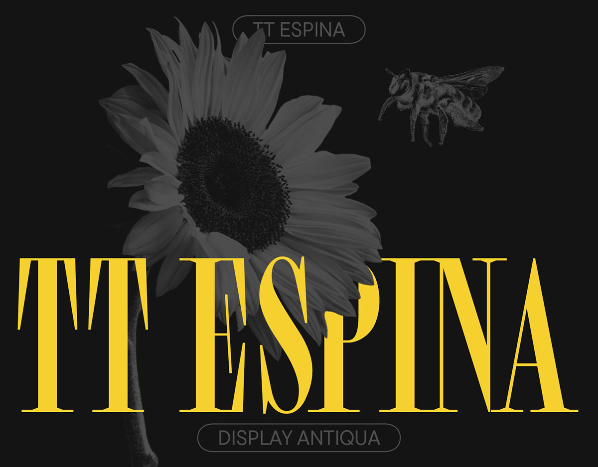 TT Espina Trial rendition image