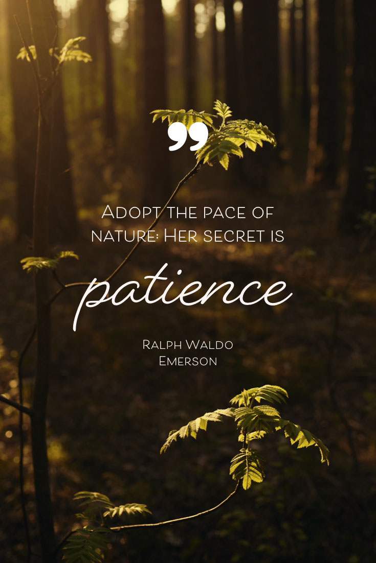 quote pinterest  patience Adopt the pace of nature: Her secret is Ralph Waldo Emerson