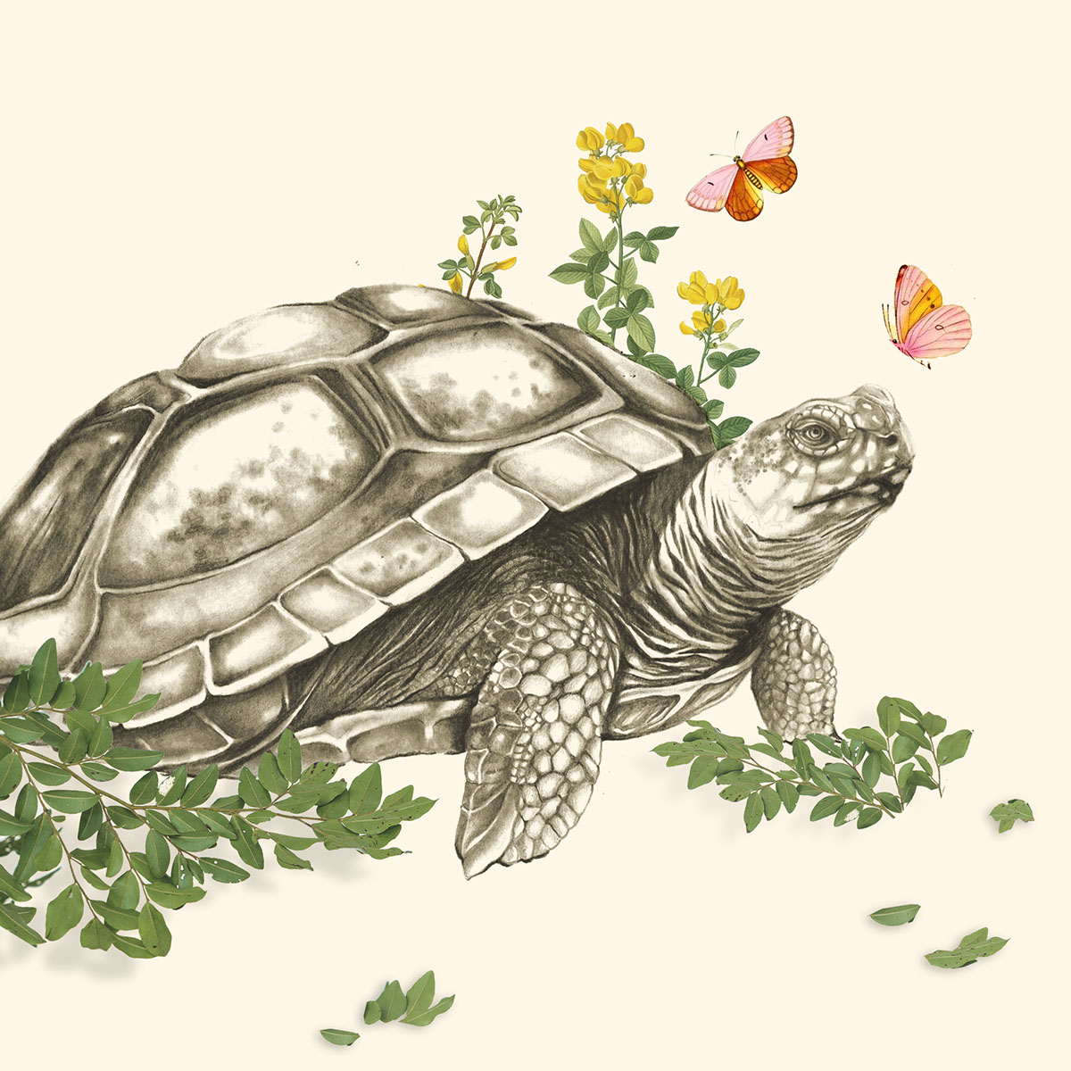 Turtle and Butterflies rendition image