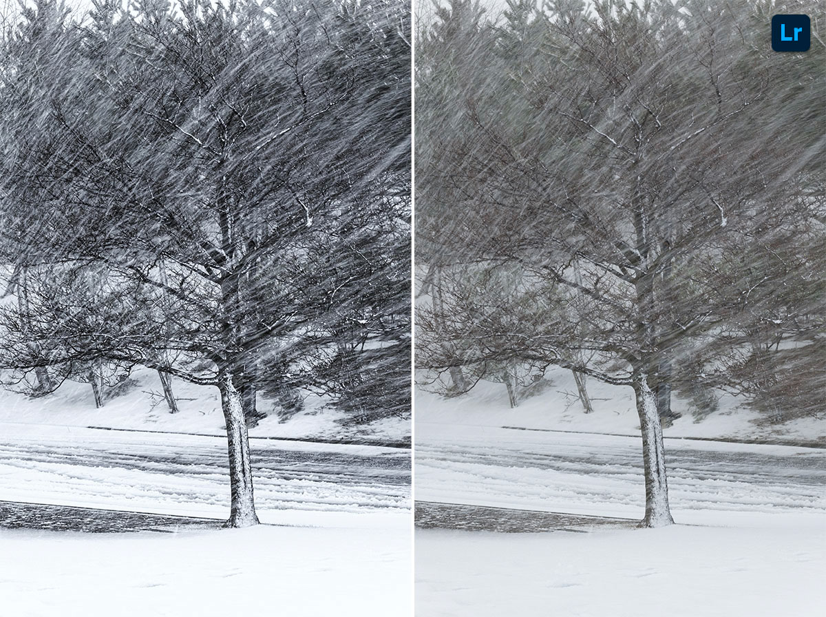 pretty cold | Edit | Photoshop Lightroom