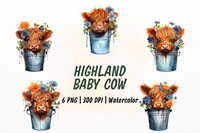 Highland Baby Cow