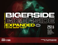 Bigerside - Expanded Sans Serif Font