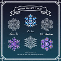 DA Tutorial challenge - Winter flower flakes