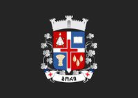 Gori Municipality