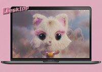 Cat Desktop Wallpaper