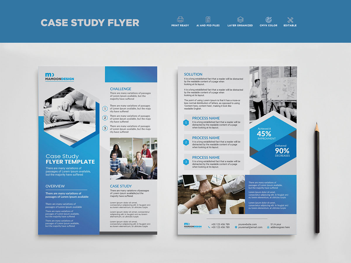 Case Study Flyer Template rendition image