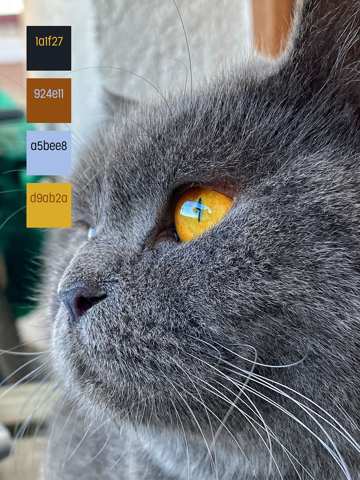 Color Swatch Vezir on Behance :: Behance