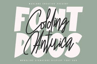 Colding Antuica Font Duo
