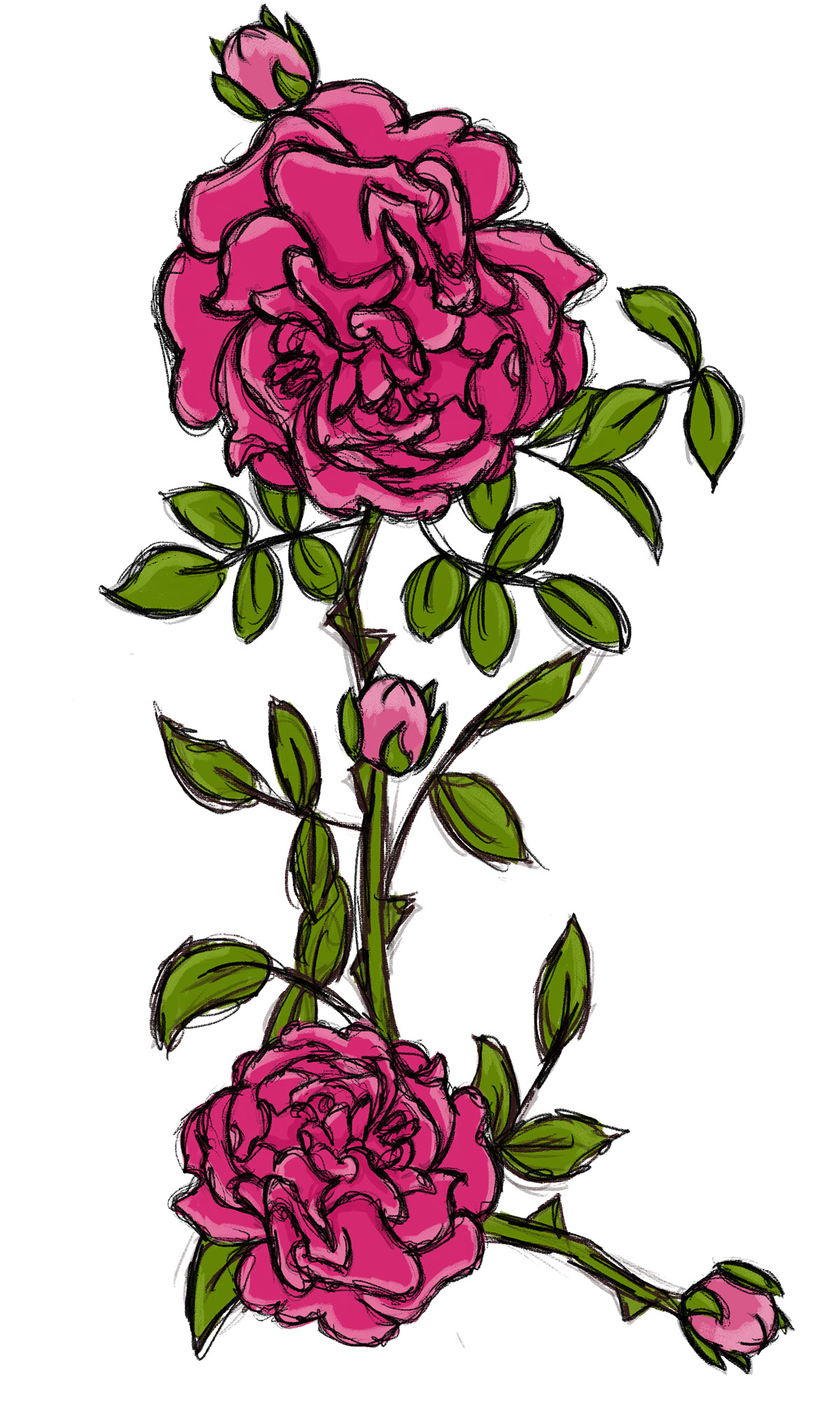 Big Pink Roses rendition image