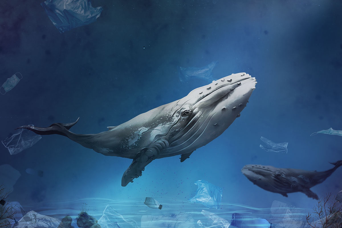 Greenpeace y las ballenas rendition image