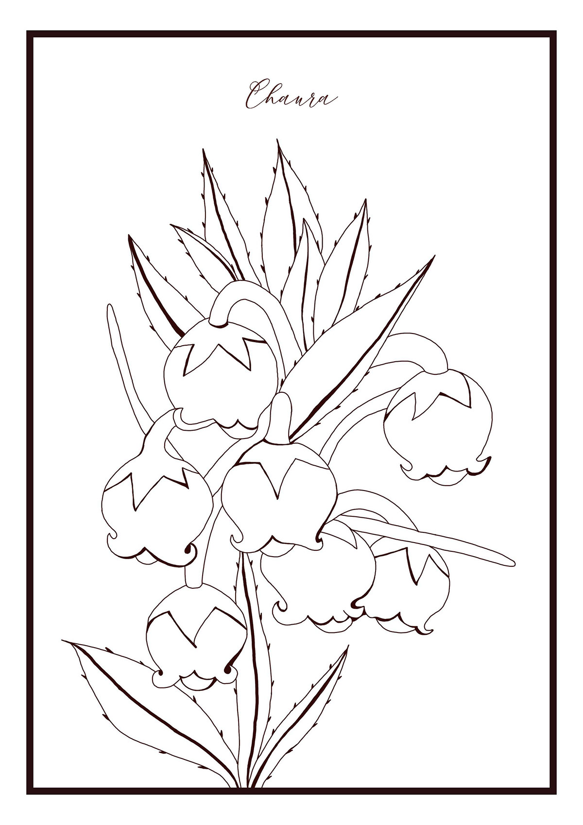 Las Flores de Tierra del Fuego - paga colorear rendition image
