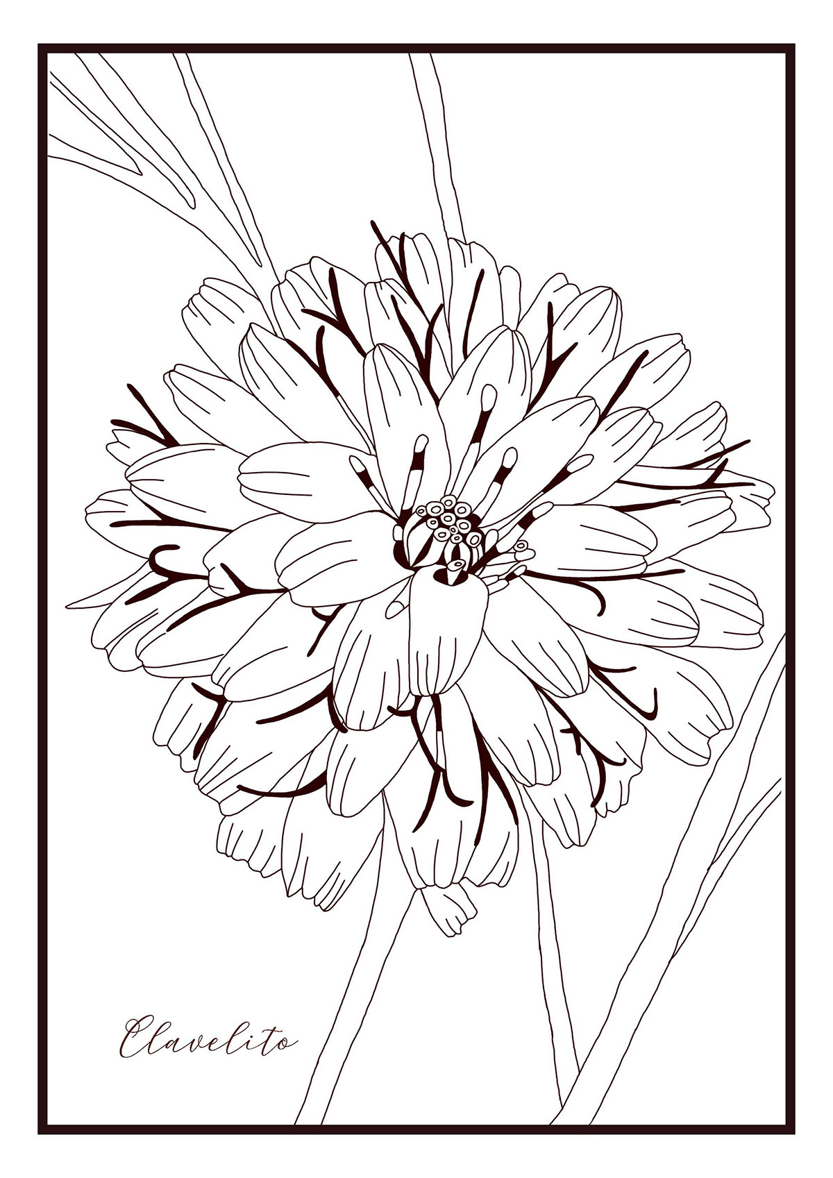 Las Flores de Tierra del Fuego - paga colorear rendition image