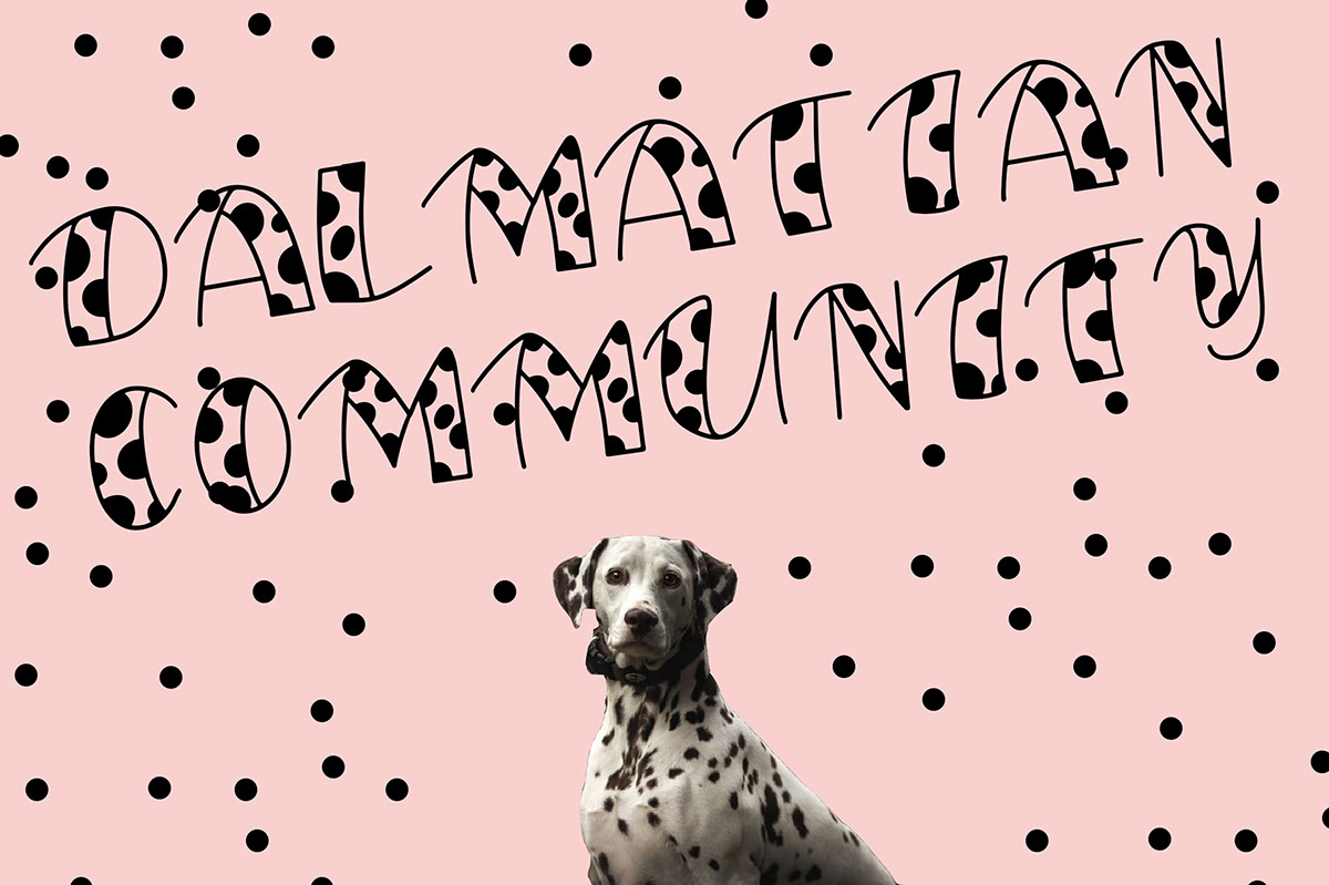 My Friend Dalmatian Display Font rendition image