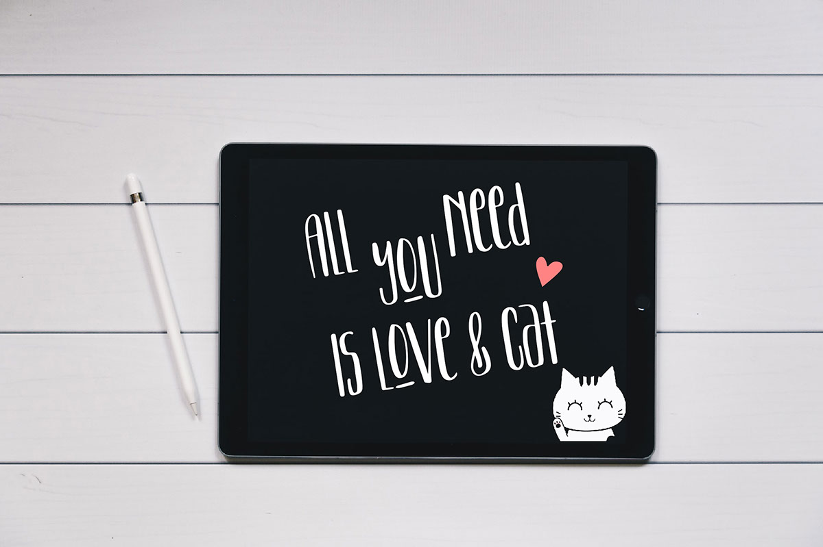 Kitten Lover Cute Display Font rendition image