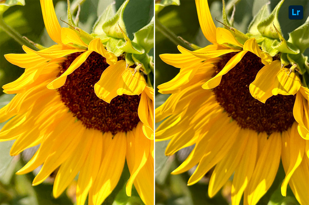 Testing | Edit | Photoshop Lightroom