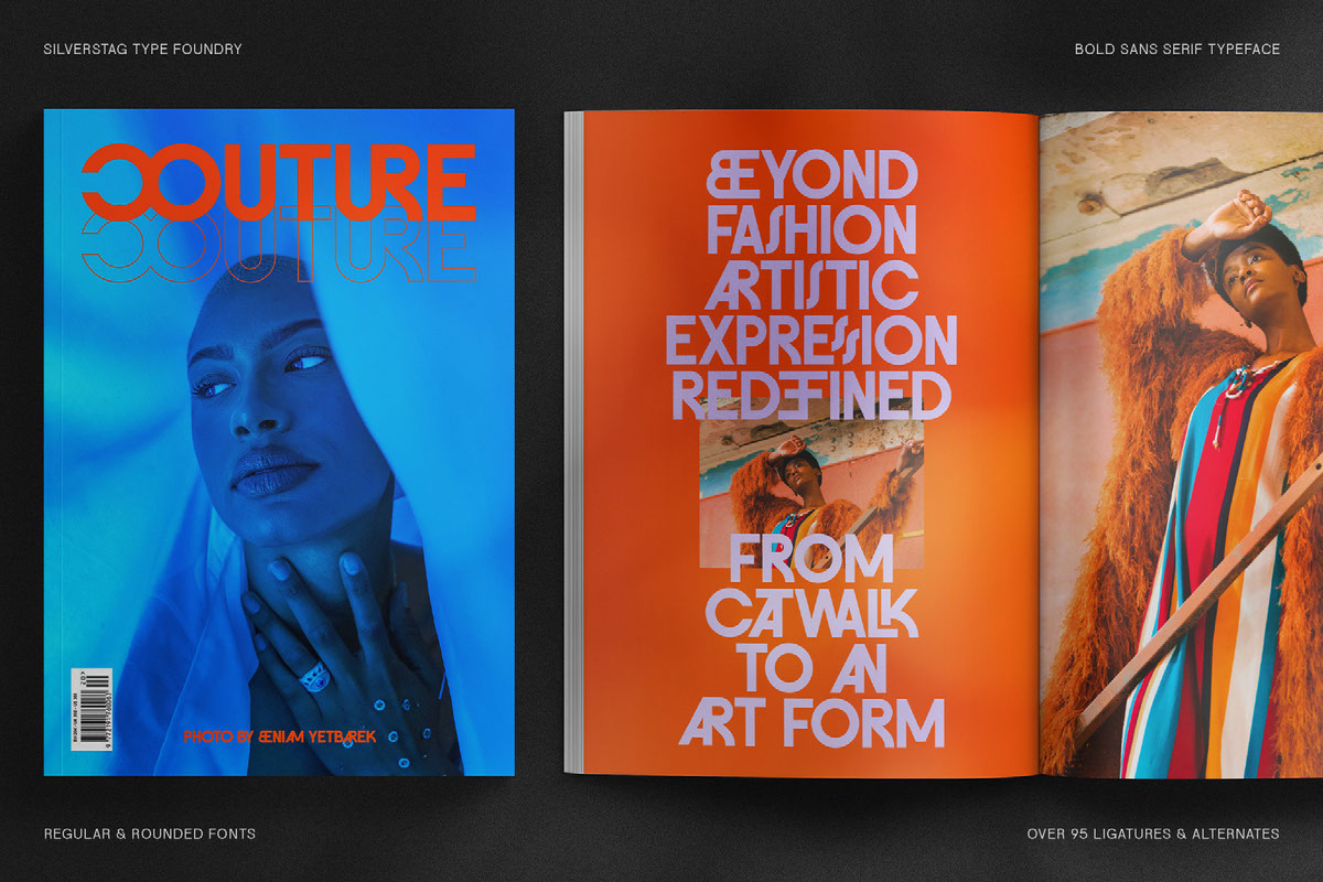 FlyBridge - Bold Ligature Rich Sans Serif Font rendition image