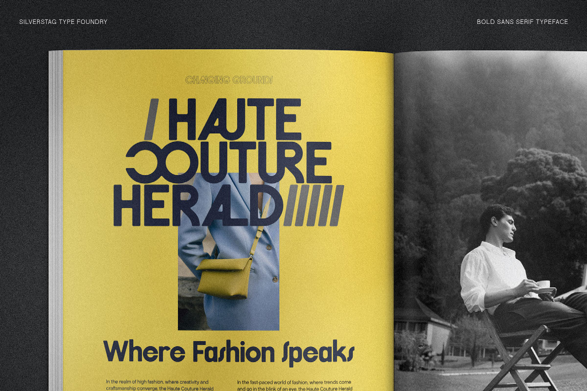 FlyBridge - Bold Ligature Rich Sans Serif Font rendition image