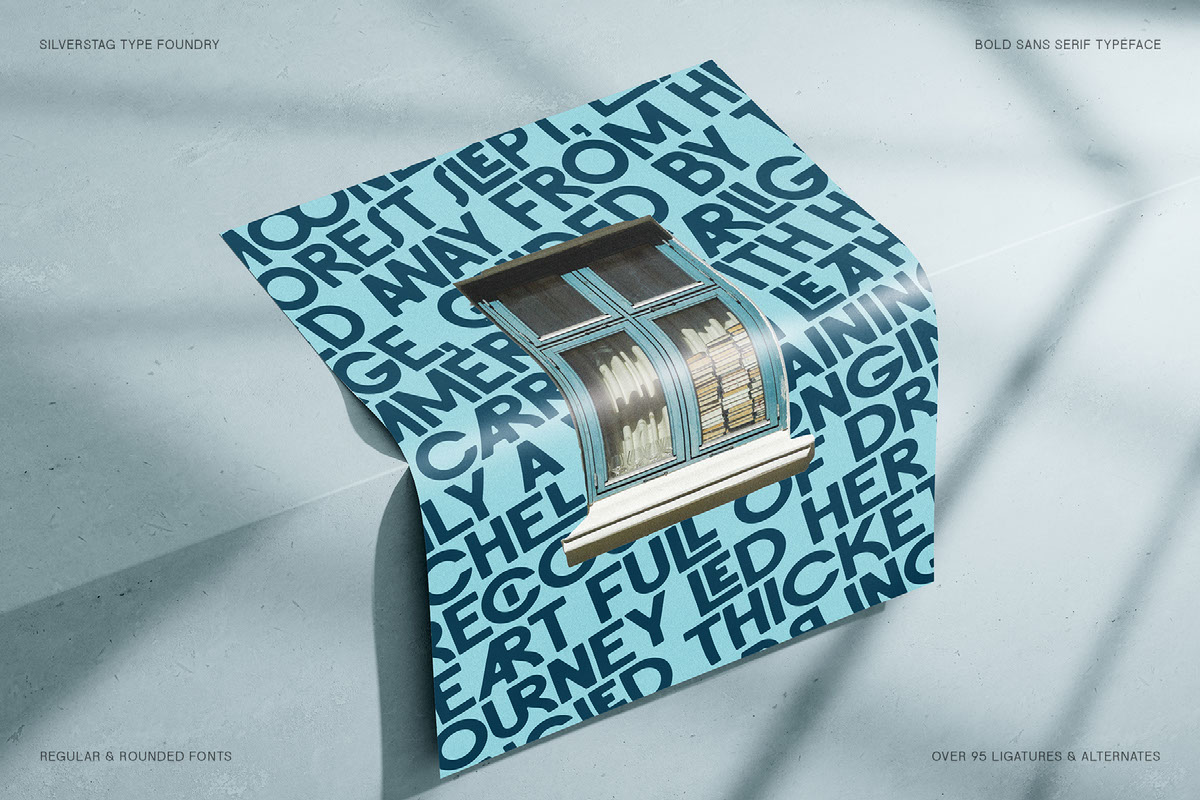 FlyBridge - Bold Ligature Rich Sans Serif Font rendition image