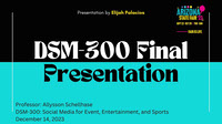 DSM-300 Final Presentation