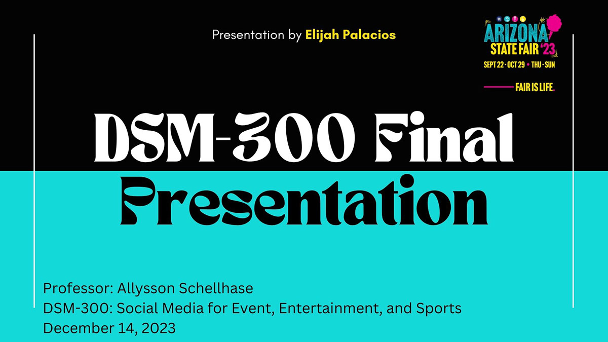 DSM-300 Final Presentation rendition image
