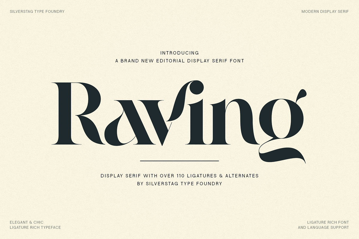 Raving - Editorial Display Serif Font rendition image