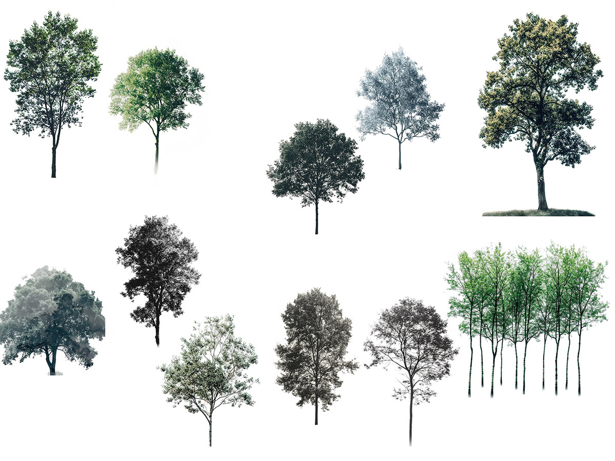 suos_trees_cutouts rendition image