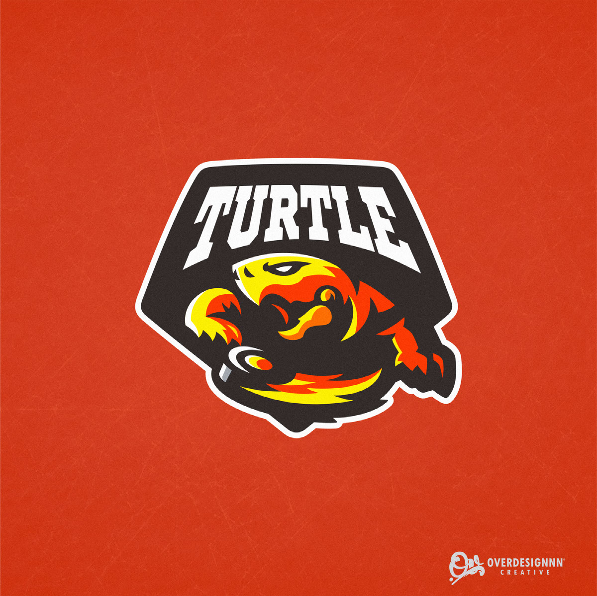 Turtle Logo on Behance :: Behance