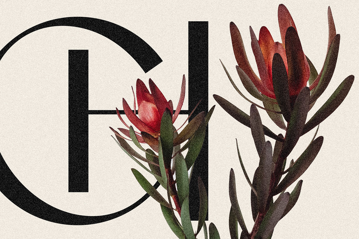 Castillet - Elegant Sans Serif Font With Italics rendition image