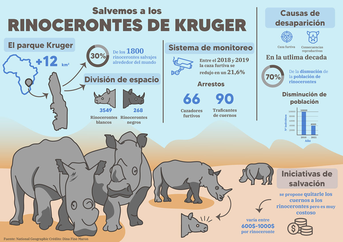 Los rinocerontes de Kruger rendition image