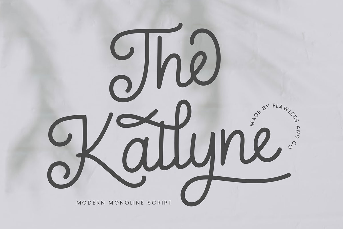 The Kallyne rendition image