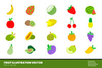 20 Fruit Illustration Vector