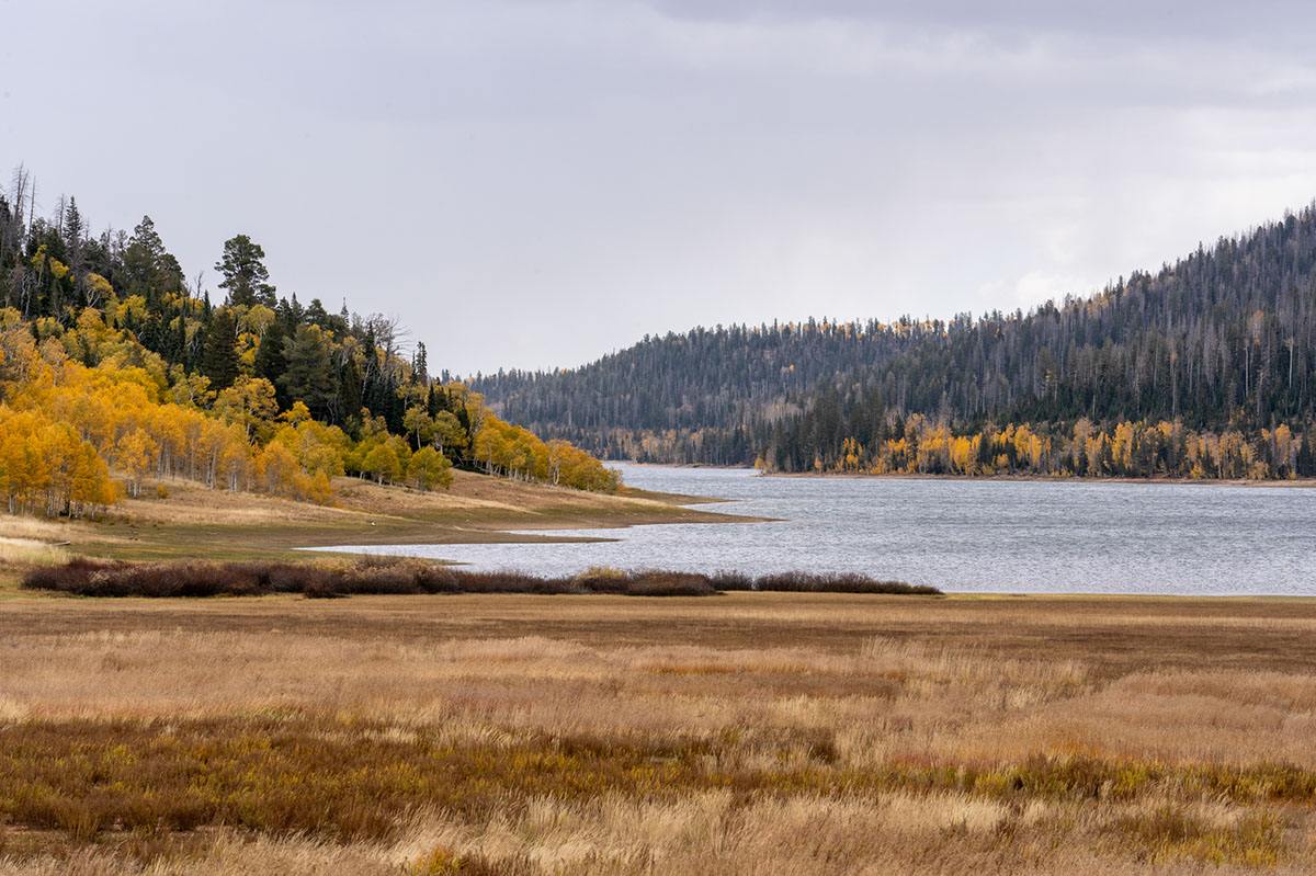 Panoramic_view_of_the_shore_of_ Navajo-Lake_AS_5480 rendition image