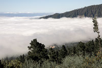 La magia de los oasis de niebla un estudio visual