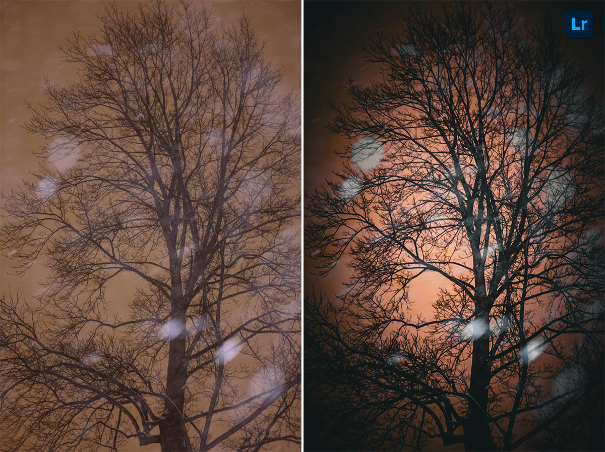 Snowflake Edit Lightroom