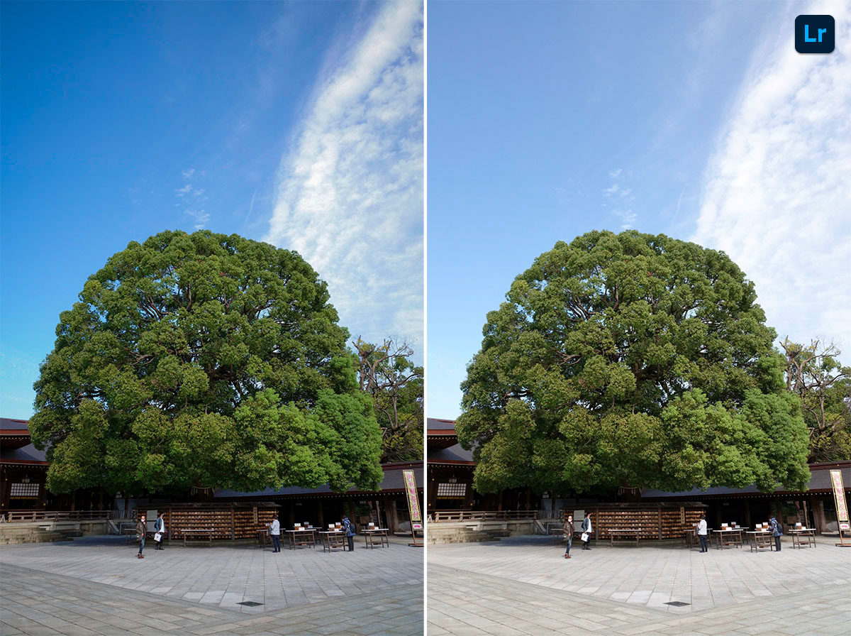 Meiji Shrine1 Remix Photoshop Lightroom