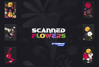 Scanned Flowers