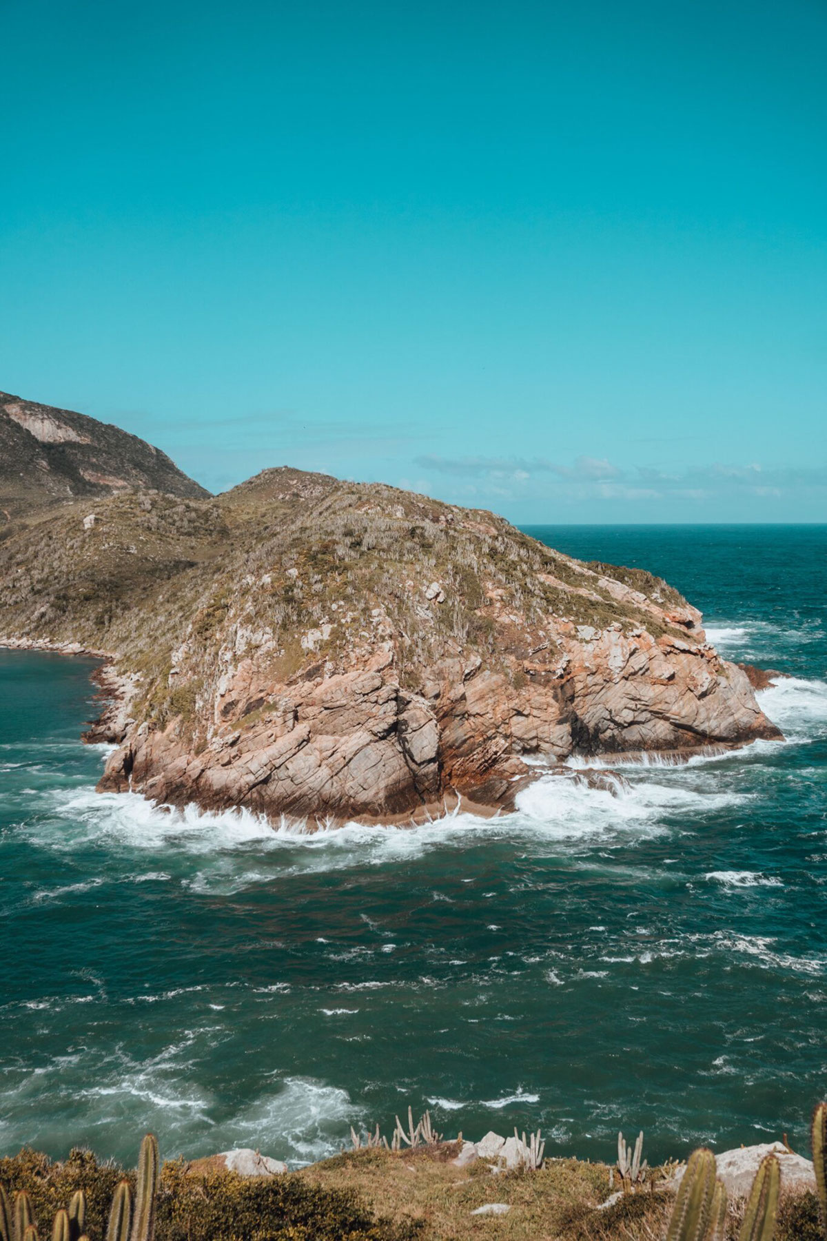 Innovacion y conservacion Chile en la vanguardia marina rendition image