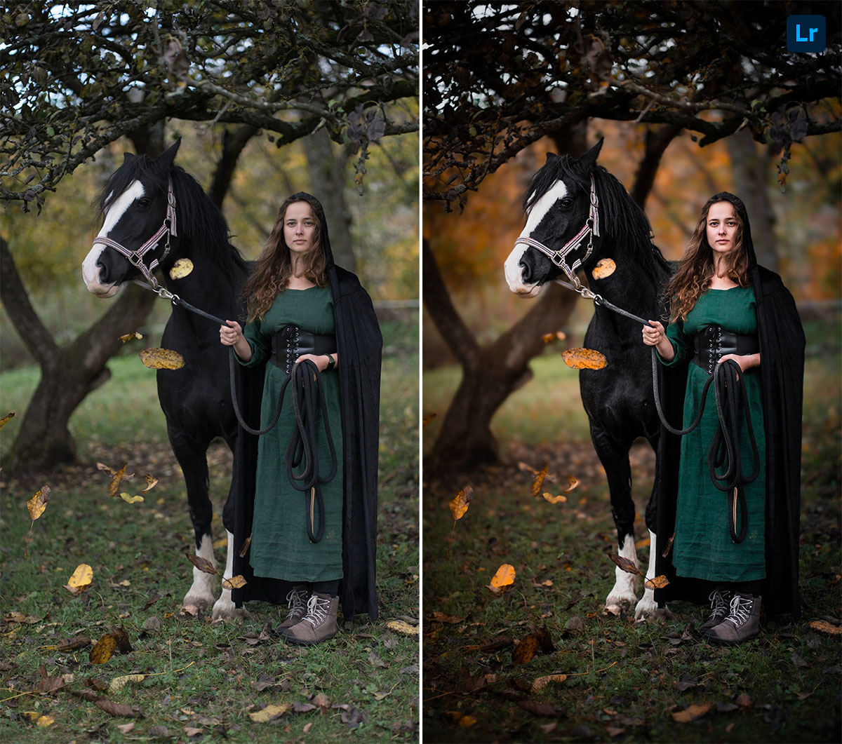 Fairy tale | Edit | Photoshop Lightroom