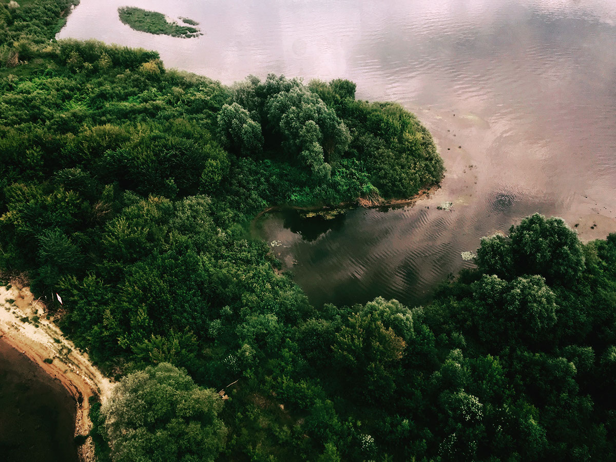 La Amazonia al Limite rendition image
