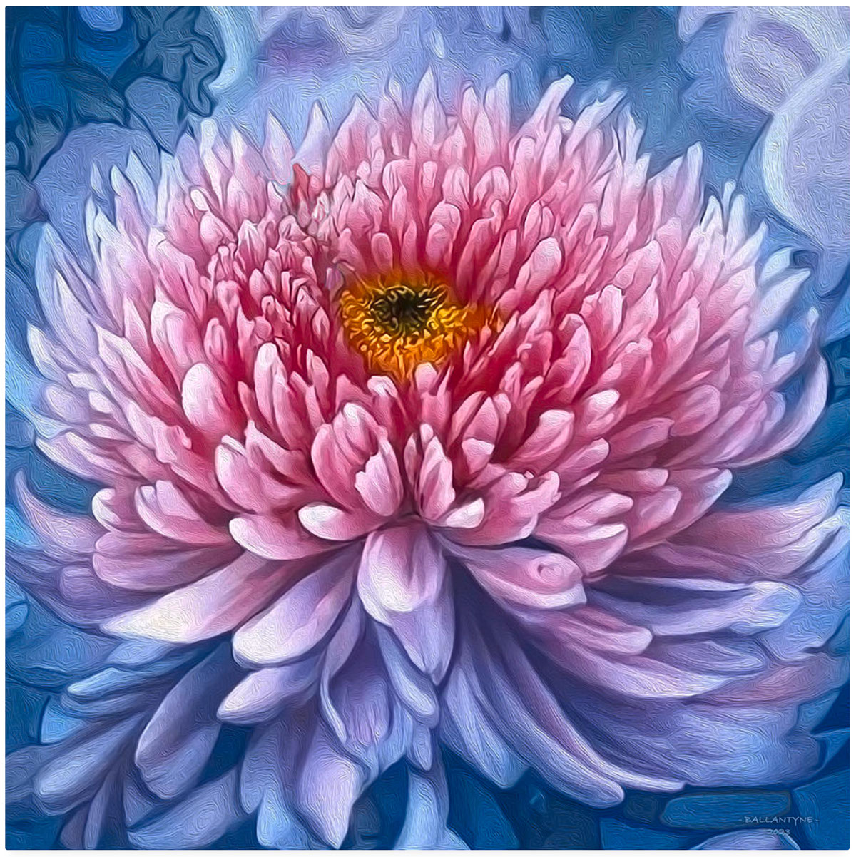 Chrysanthemum 3 rendition image