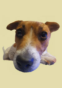 Jack Russell Terrier Realistic Illustration