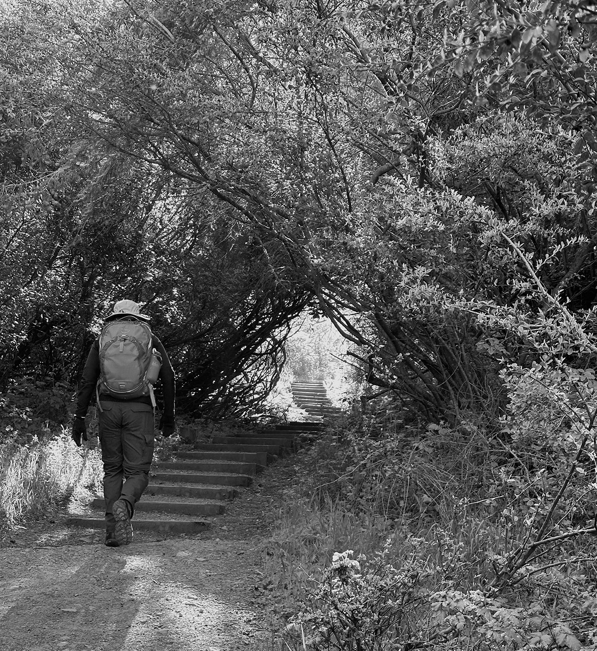 Wooden Path on Behance :: Behance