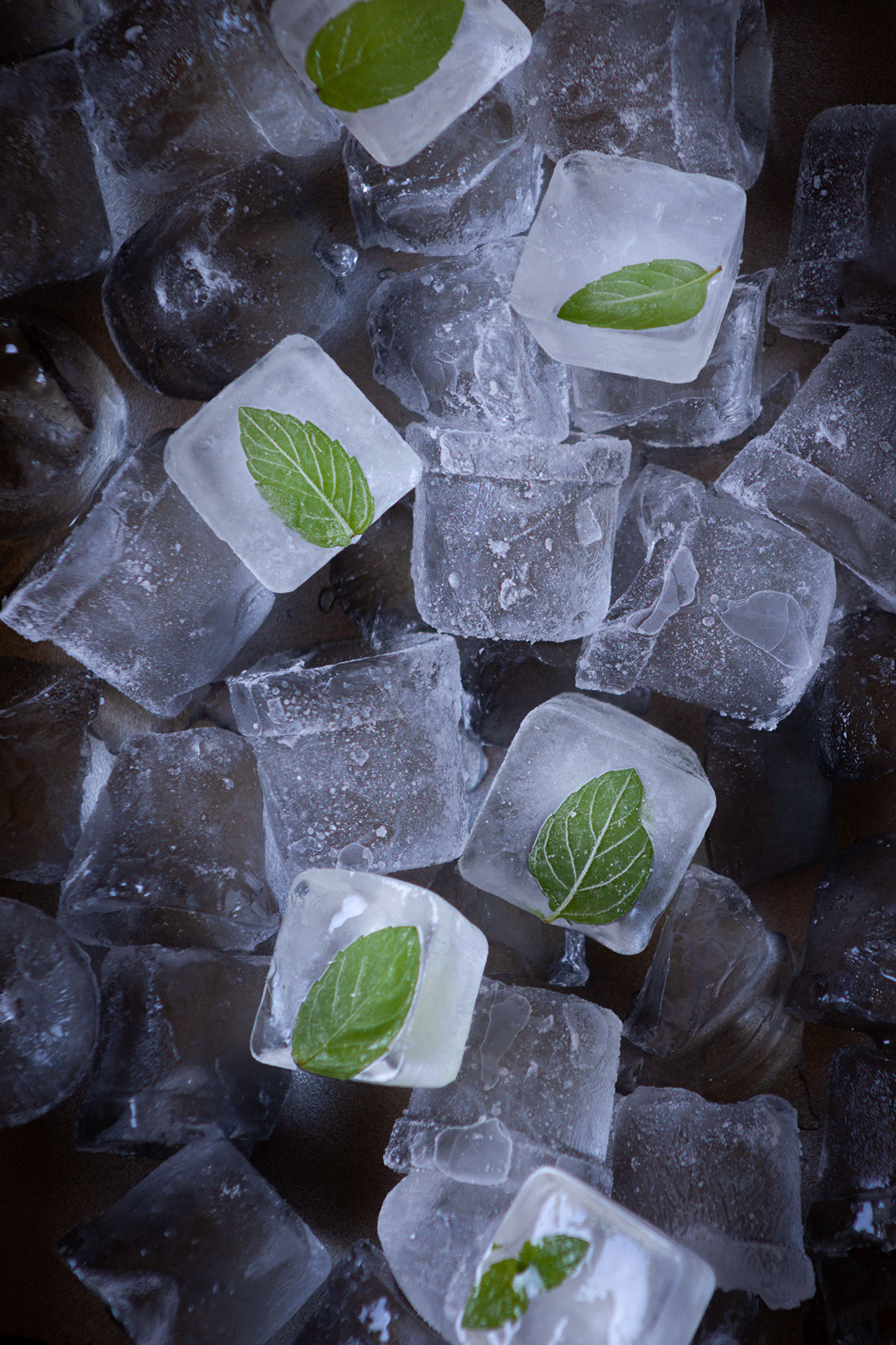 Mint Leaves in Ice Cubes rendition image