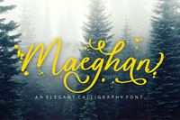 Maeghan Calligraphy