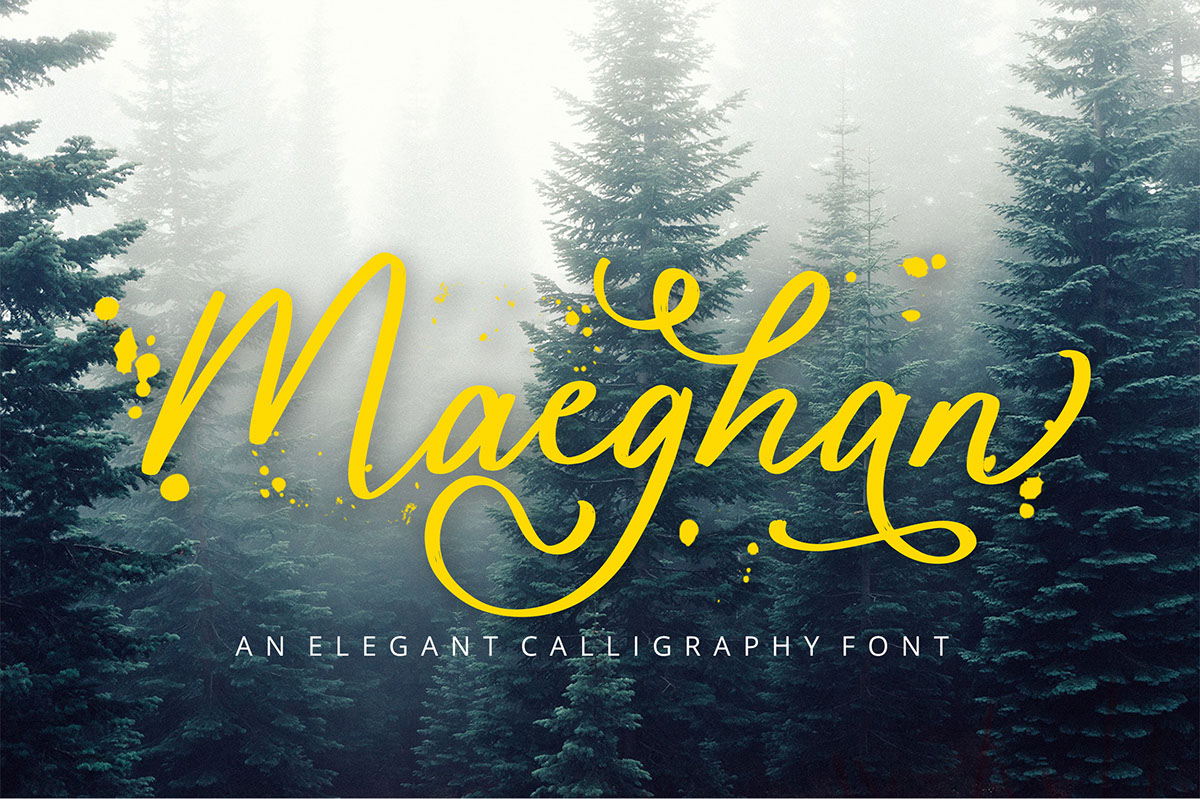 Maeghan Calligraphy rendition image