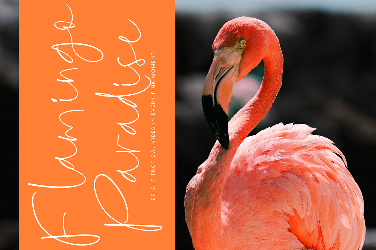 Diamond Scriptl Midnight Diamond - A Modern Handwritten Script on Behance :: Behance